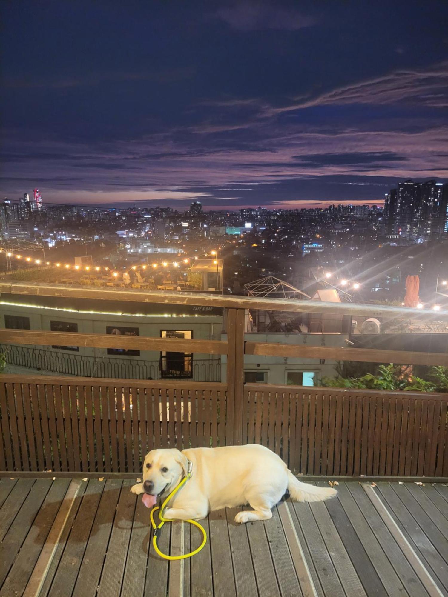 Cozy Private Home Newly Renovated #3 Seoul Eksteriør bilde