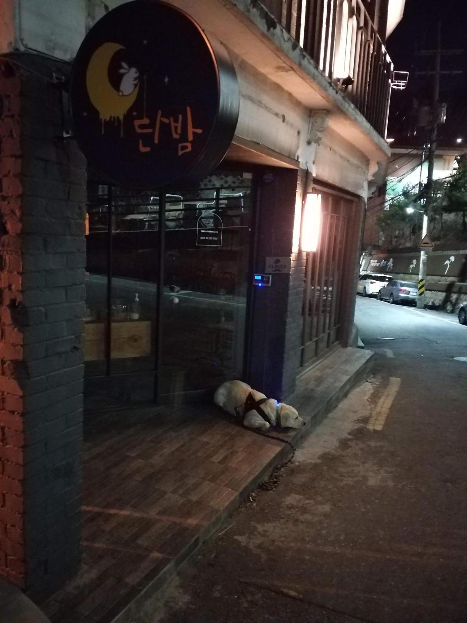 Cozy Private Home Newly Renovated #3 Seoul Eksteriør bilde