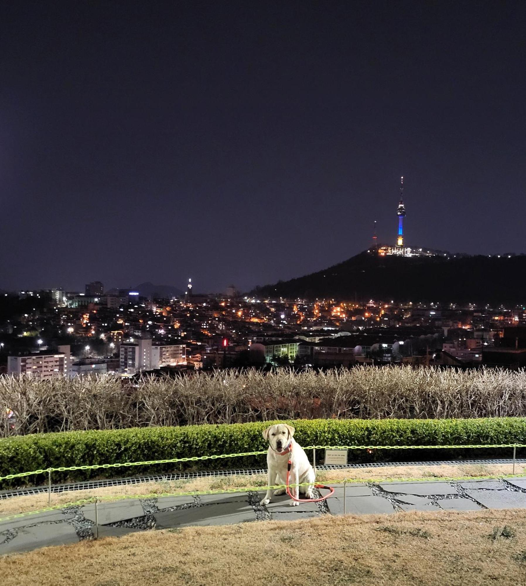 Cozy Private Home Newly Renovated #3 Seoul Eksteriør bilde